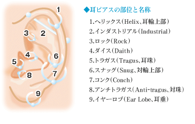 ◆主な耳ピアスの部位と名称